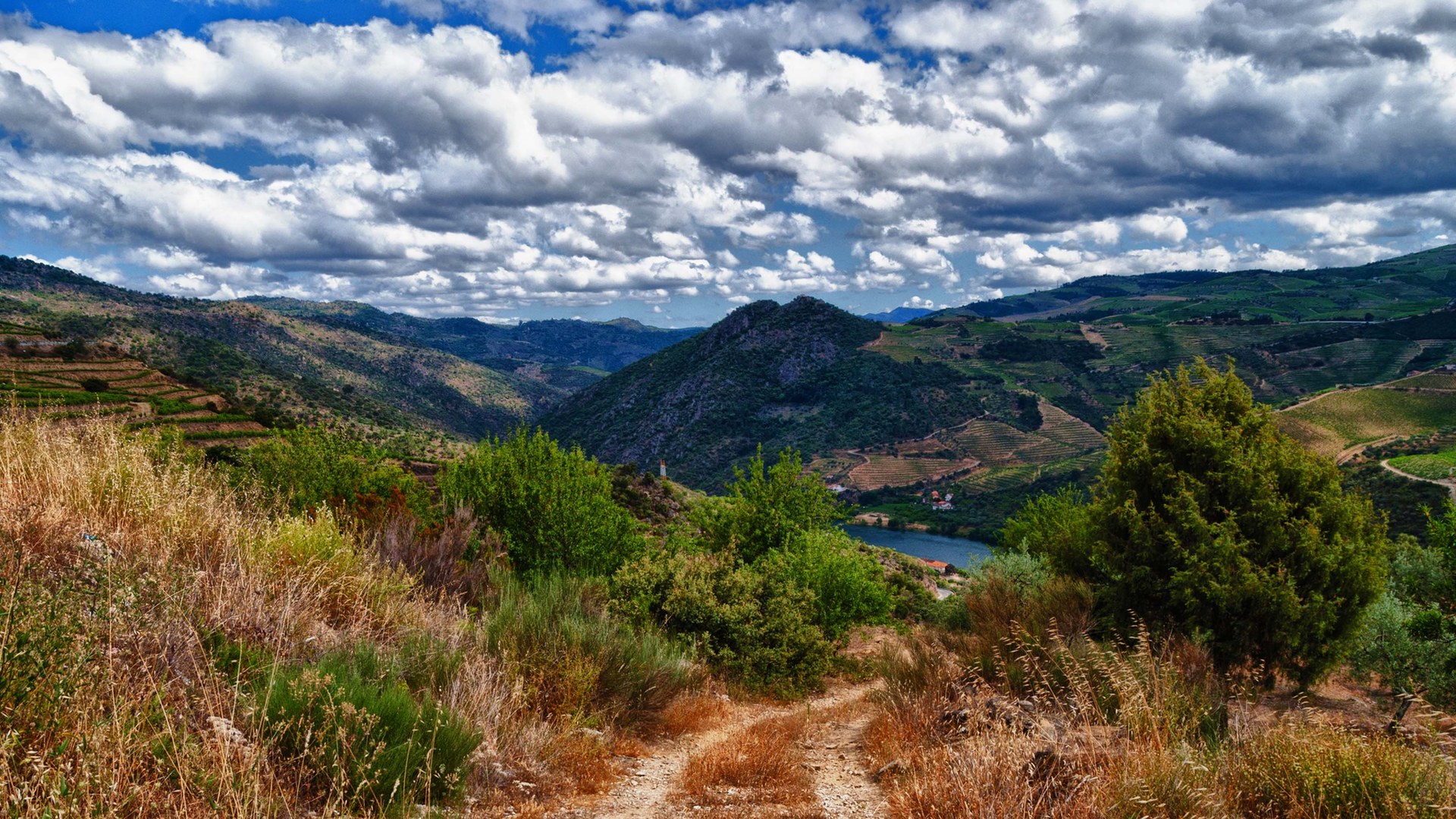 Douro Valley terraces in Portugal